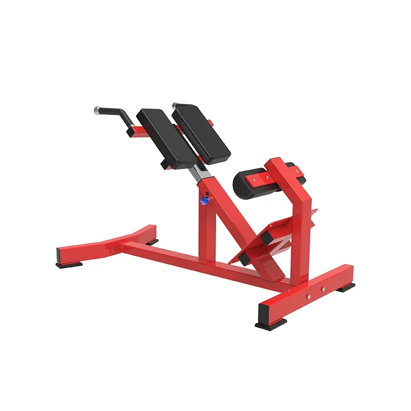 

Gym Equipment Roman Chair Back Extension Hyper Back Extension Machine/bench