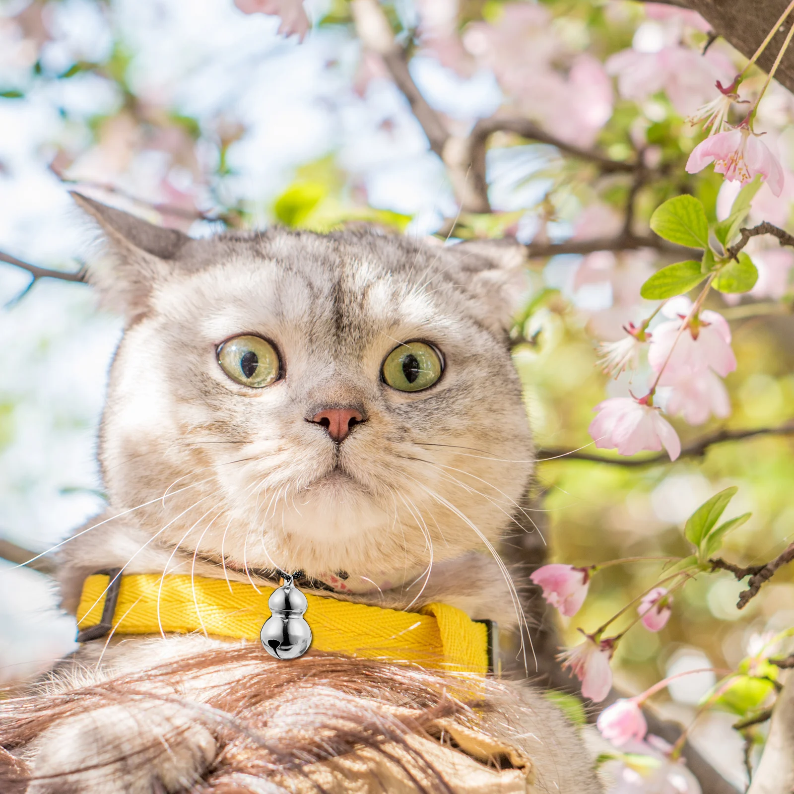 

5pcs Gourd Shaped Pet Bells Lightweight Cat Collar Pendant Christmas Tree Hanging Accessories For Dogs Backpacks Handbags Pet