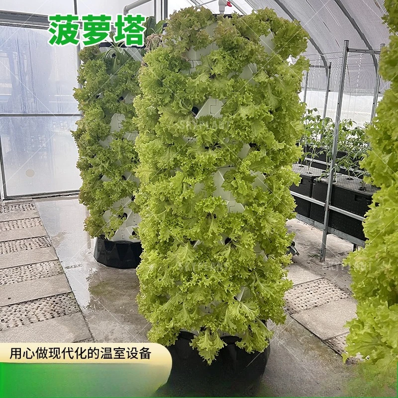 Vertical soilless cultivation hydroponic pineapple tower aerosol cultivation model soilless cultivation vegetable strawberry