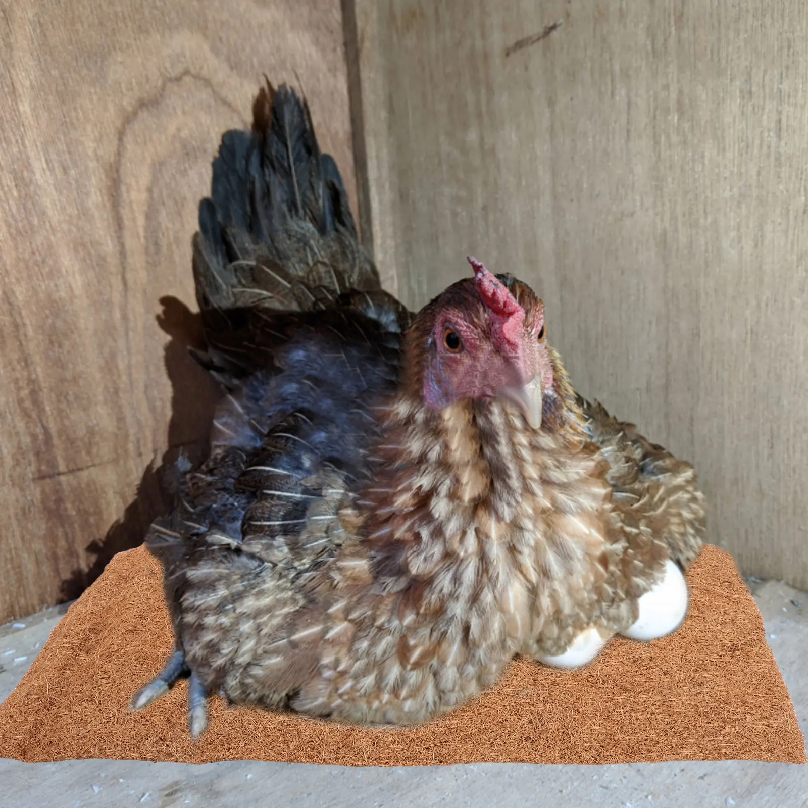 

4 Pcs Coir Chicken Nesting Pads Washable Soft Nonslip Coop Lining Egg Laying Box Mats Reusable Poultry Accessories