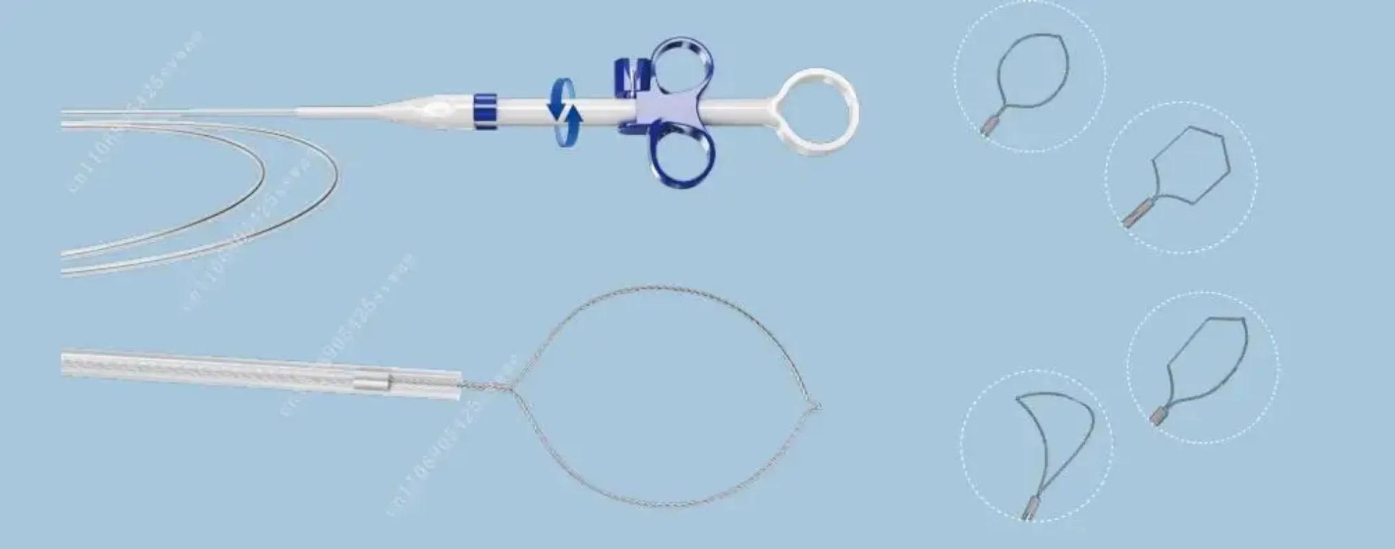 

High Quality 2025 New Disposable Oval Polypectomy Snare CE Certified for Medical Use
