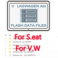 Software odis-e V12.2.0 + Odis Engineering Flashdaten Ecu Firmware archivos de datos Flash Vw Audi Seat Skoda