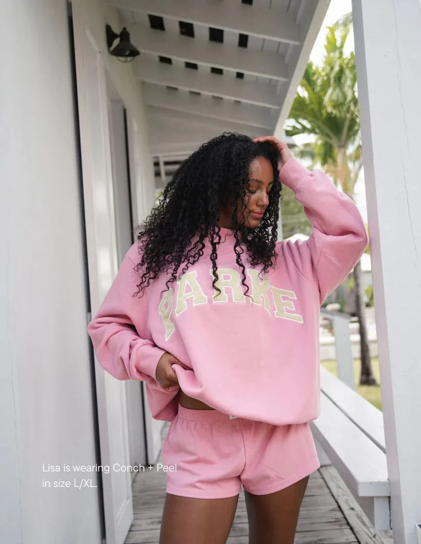 Women's Oversized Varsity Sweatshirt Mock Neck Long Sleeve Collegiate Letter Print Pullover Casual Streetwear Top