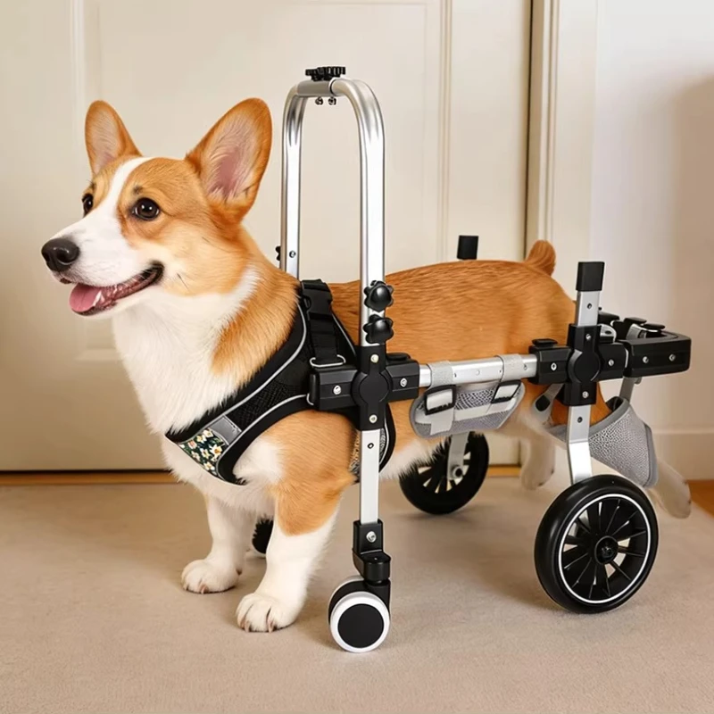 

Four-Wheel Dog Wheelchair Rear Leg Support Mobility Aid for Disabled Pets Canine Rehabilitation Walker Adjustable Dog Trainings