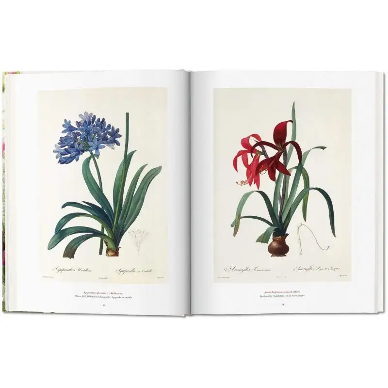 FPRedout The Book Of Flowers H Walter Lack TASCHEN 9783836568937 Book