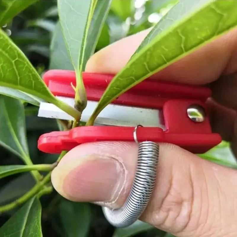 

Vegetable and Fruit Picking Knife Finger Harvest Knife Small Chopper Grape Pinching Tip Beard Pinching Vegetable Picking Tool