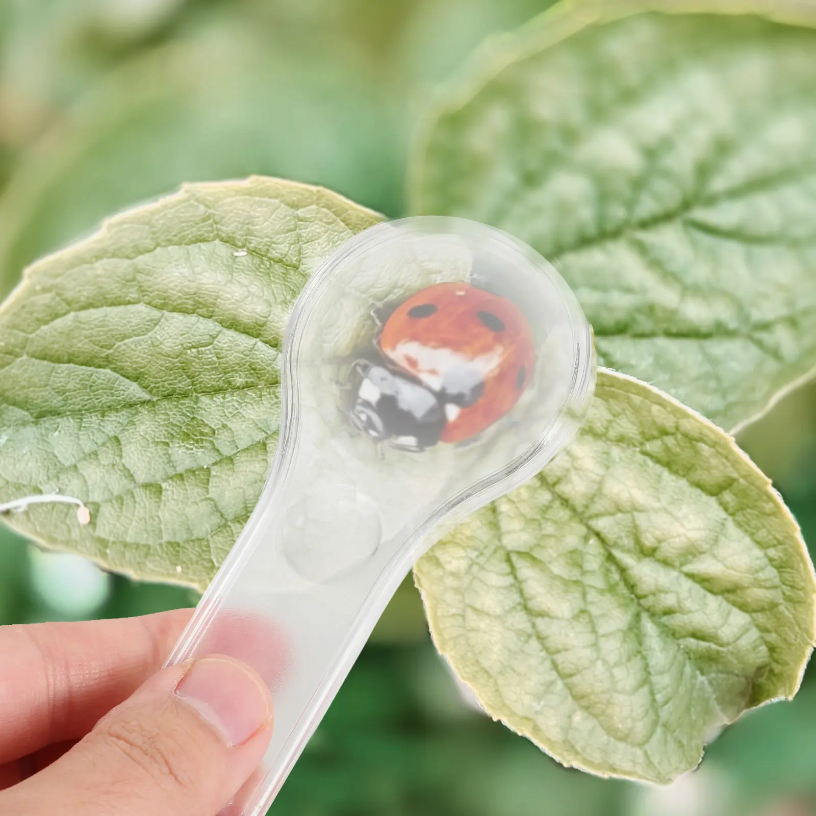Acrylic Handheld Magnifier with Dual Lenses 3X Magnification Ergonomic Design Portable Reading Magnifier for Precision Detail