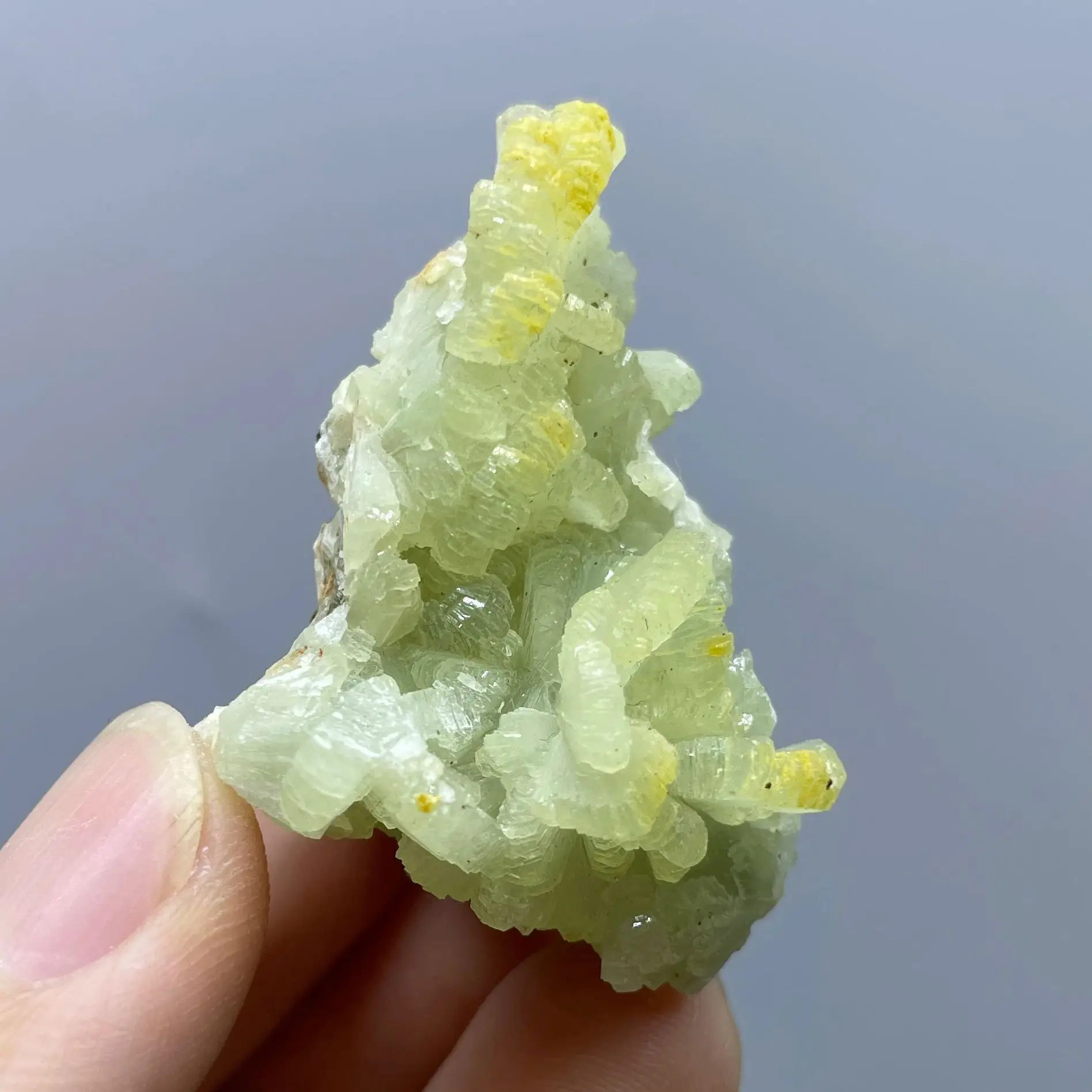 100% Natural Raw Stone Prehnite Quartz Crystal Mineral Specimen Teaching Rock Home Decoration Gift Healing