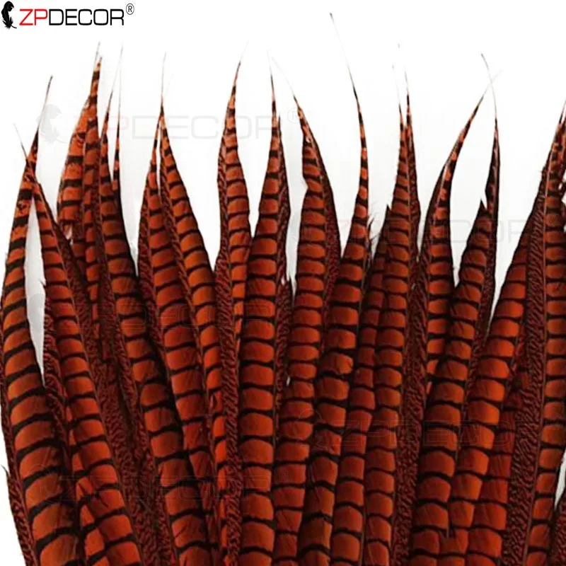 ZPDECOR Natural Long Feathers Lady Pheasant Feathers 100-110cm 40-44 Inch for Carnival