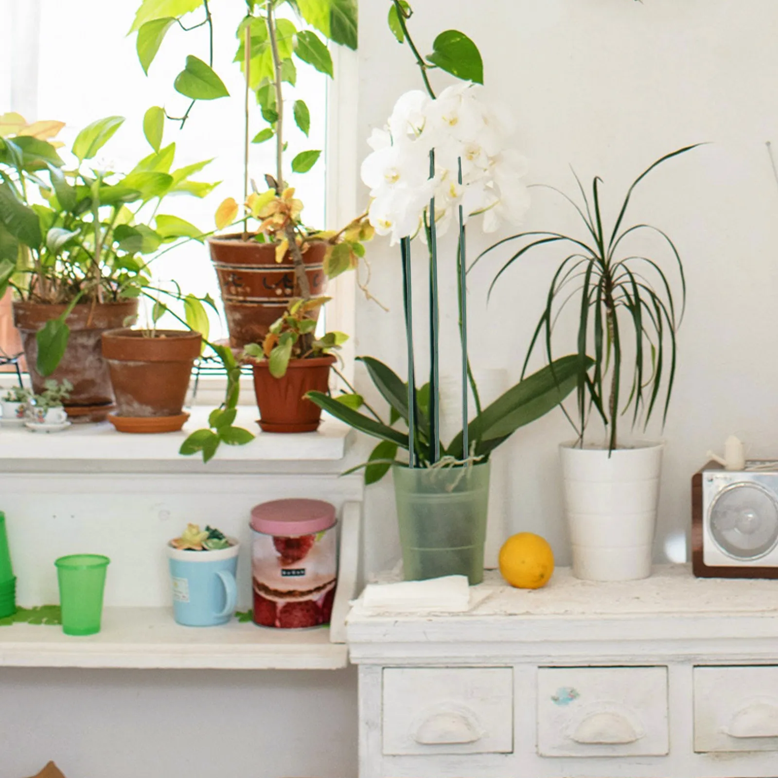 

60Pcs Garden Sticks Green Flower Arrangement Pole Plant Support for Climbing Plants Fixed Stand Bamboo Stakes Planting Supplies