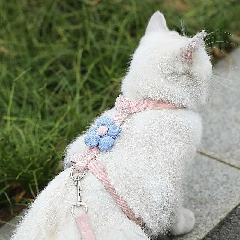 Adjustable Cat Harness And Leash Set For Small Dogs And Kittens_voghion.com