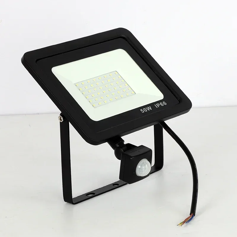 

10W 20W 30W 50W 100W Induction Led Flood Light With Adjustable PIR Sensor 110V 220V Floodlight Street Square Outdoor Lighting