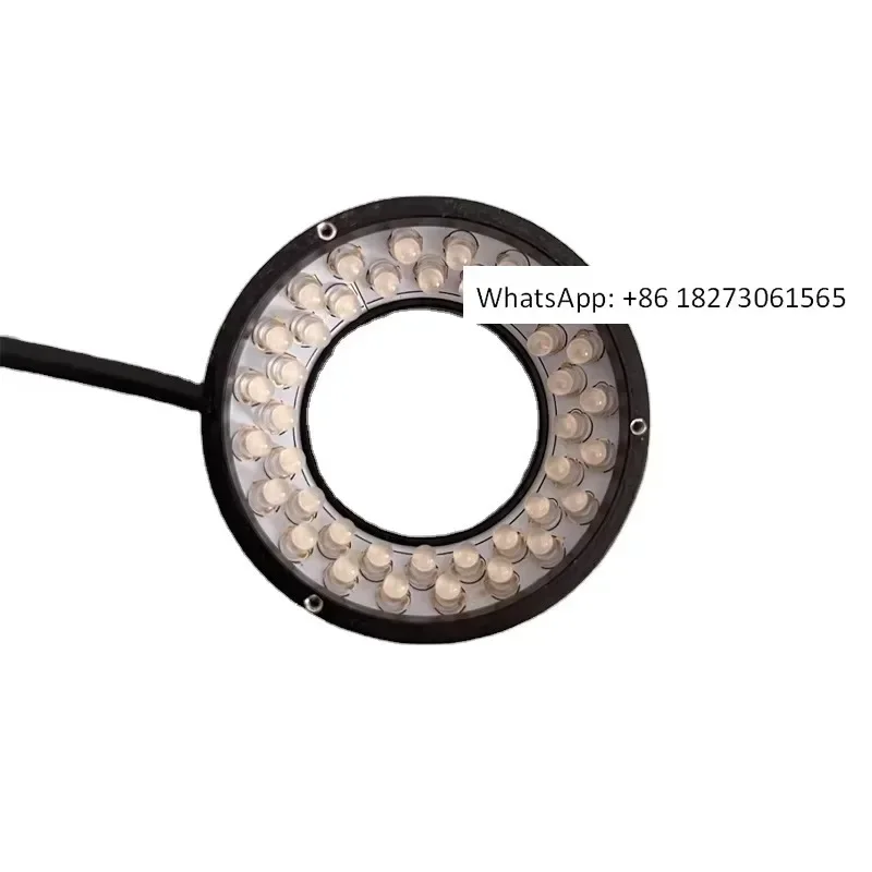 Blue Direct Circula…