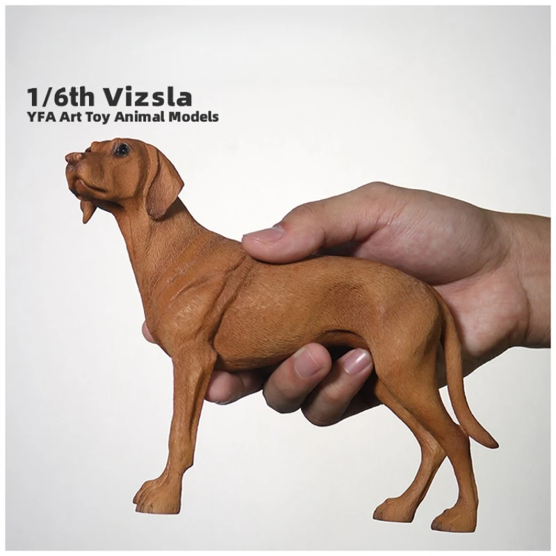 YFA 1/6 Scale Simulated Resin Dog Hungary Vizsla Pet Animal Model for 12