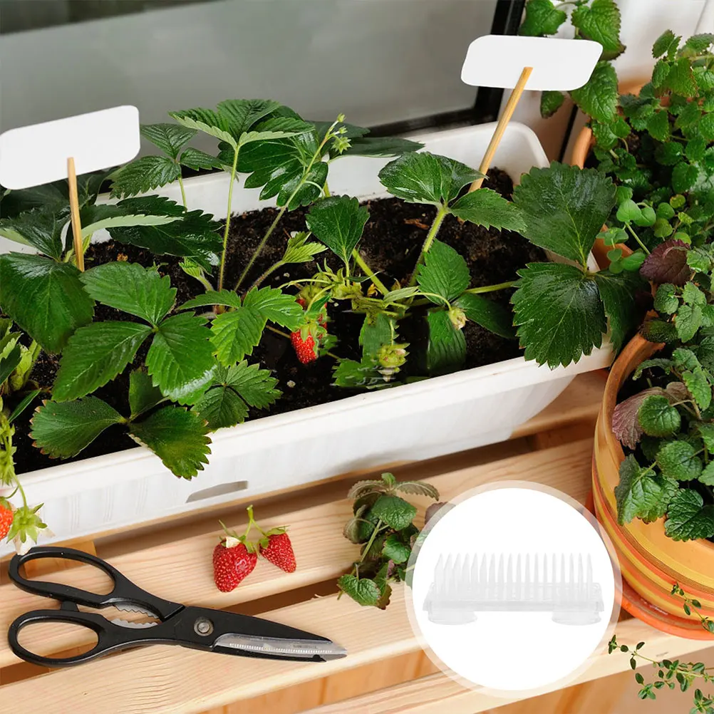 

2Pcs Transparent Plastic Flower Pin Frog Holders Clear Floral Arrangement Fixation Base Suction Design Prolong Flower Display