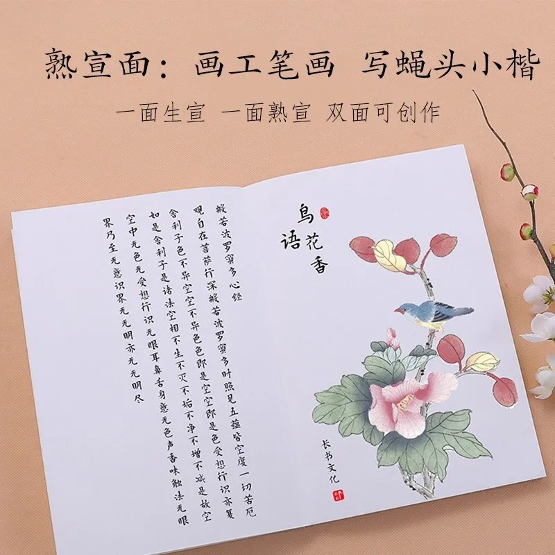 Double-Layer Thick Xuan Paper Book - Raw & Ripe Chinese Rice Paper for Calligraphy/Sumi-e, 24Page Ink Painting Sketch Album