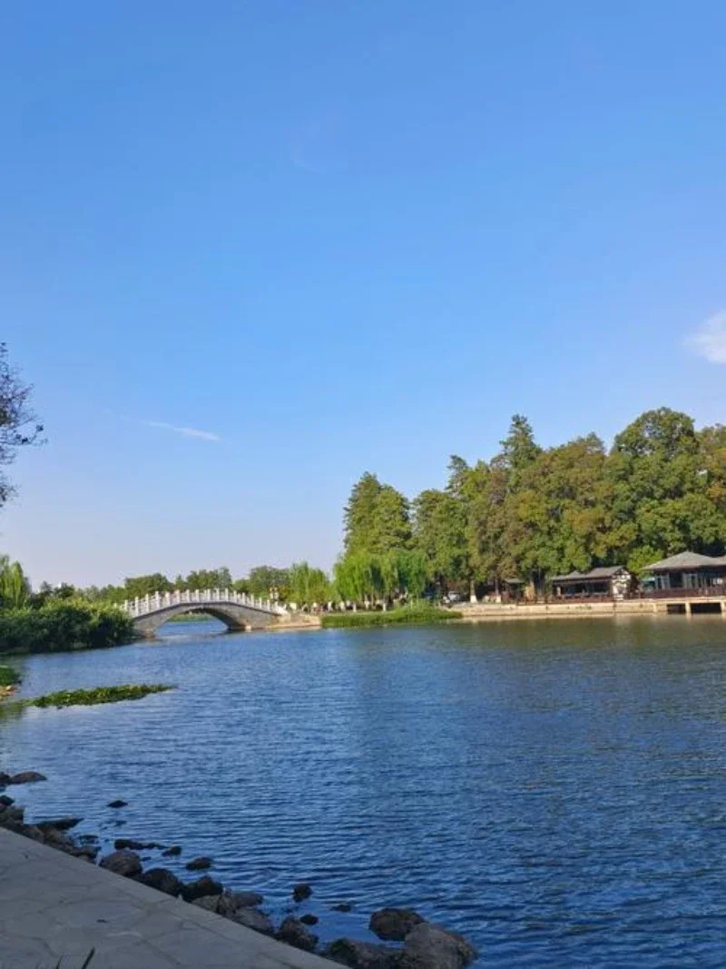 

FOR MG ZS 2017-2021 Mudguard Fenders Mud Flap Guards Splash Mudflaps Car Accessories Front Rear 4pcs