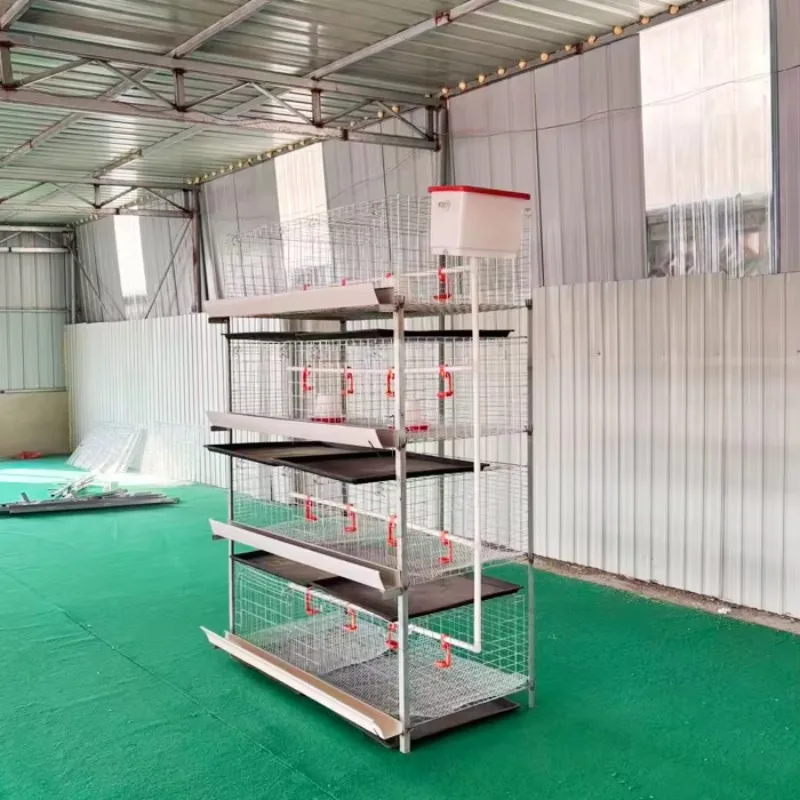 Automatic chicken cage system Poultry breeding H-type 4-layer broiler breeding cage