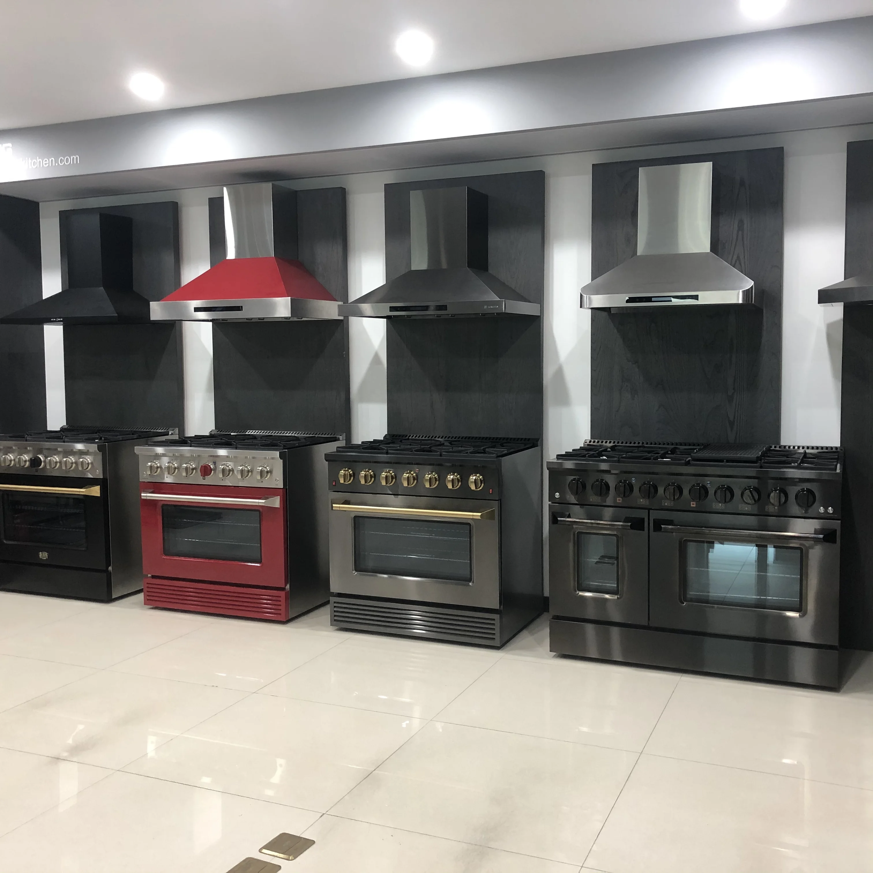 Full Stainless Steel Free Standing Gas RANGE with Auto Ignition Gas Range with Free Standing Oven