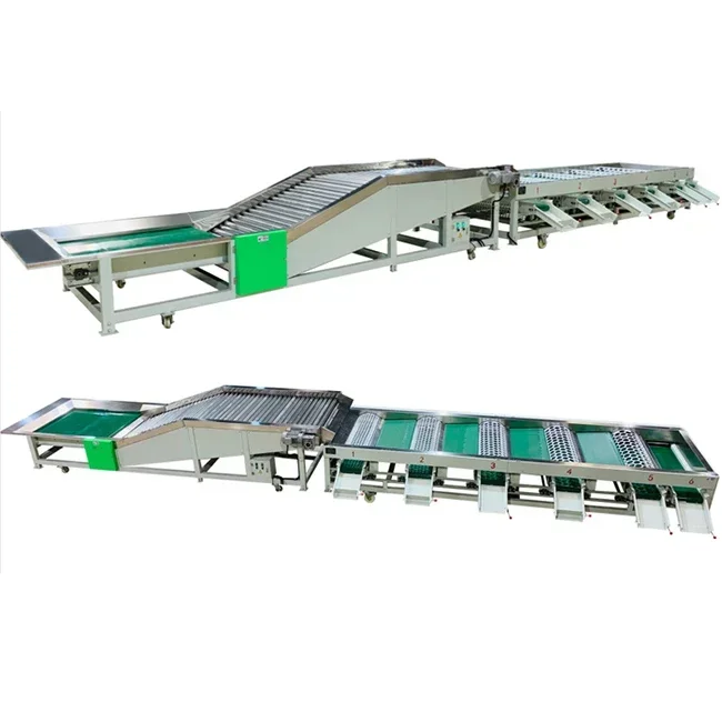 Quality Assured Fruit Washing And Sorting Machine Fruit Sorting And Grading Machine Fruit Sorting Machine