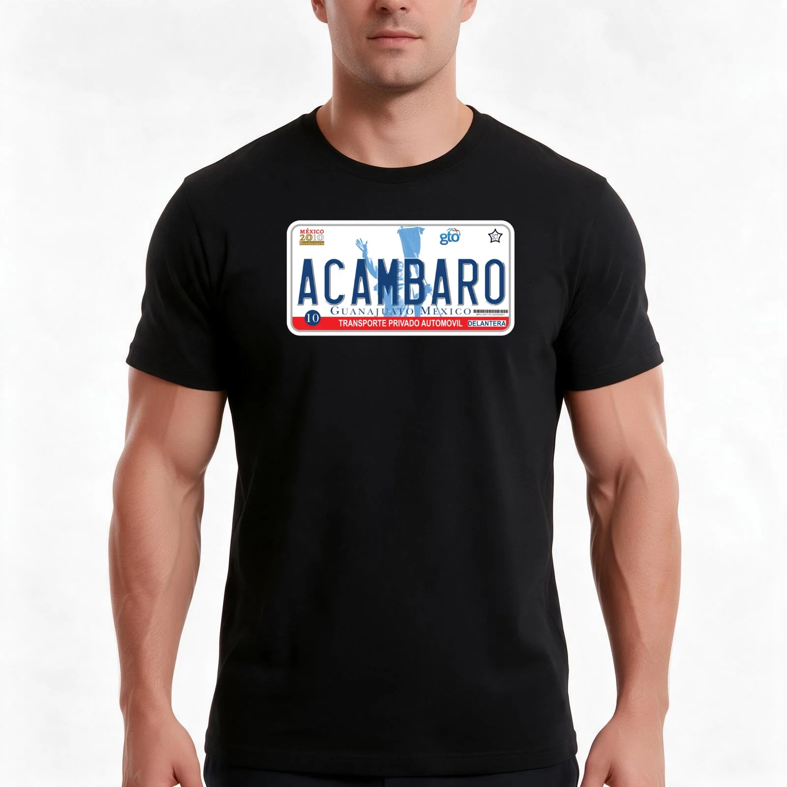 AcambaroGuanajuato License Plate Design Men T Shirt t shirt man casual