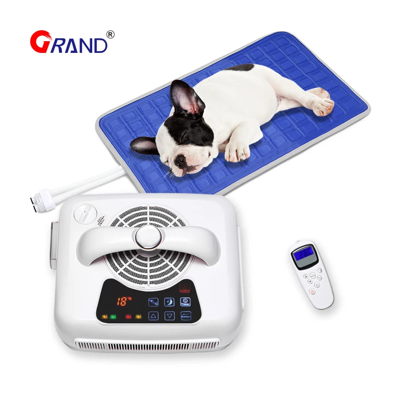 

Green Pet Cooling Pad To Keep Your Pet Cool And Comfortable During Warm, Sweltering Days