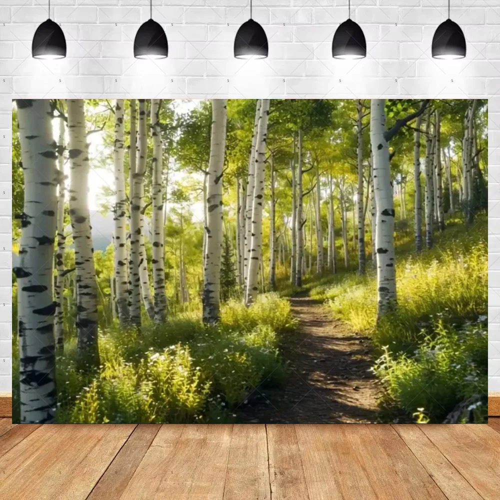 Sunny Trail Birch Tree Forest Background Banner Woodland Natural Scenery Photography Backdrop Supplies Wonderland Photo Studio