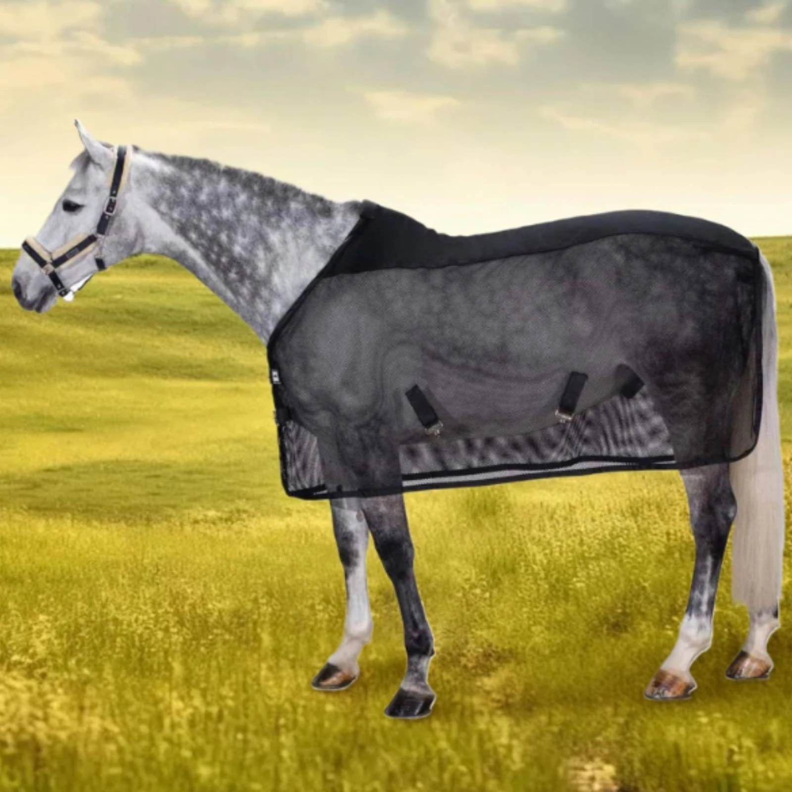 Horse Fly Sheet Lightweight Fly Sheet with Adjustable Straps Tack Protection Secure for Horses, Summer, Turnout