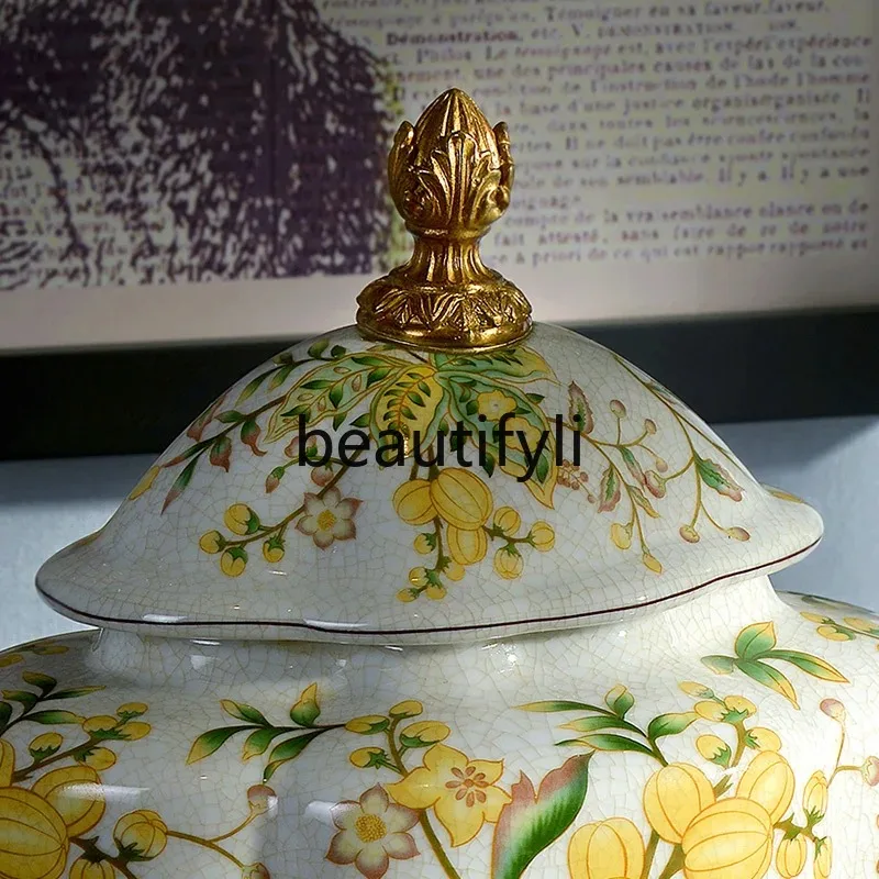 cn0420 جرة ديكور منزلي فاخر أوروبي زخرفة غرفة نموذجية أمريكية غرفة معيشة إبداعية مدخل ديكور جوي