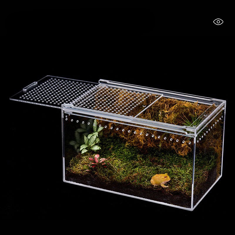 Terrarium dla gadów siedlisko inkubator akrylowa przezroczysta klatka dla gadów Nano-nadrzewna obudowa ptaszników zniszczona obudowa smoka