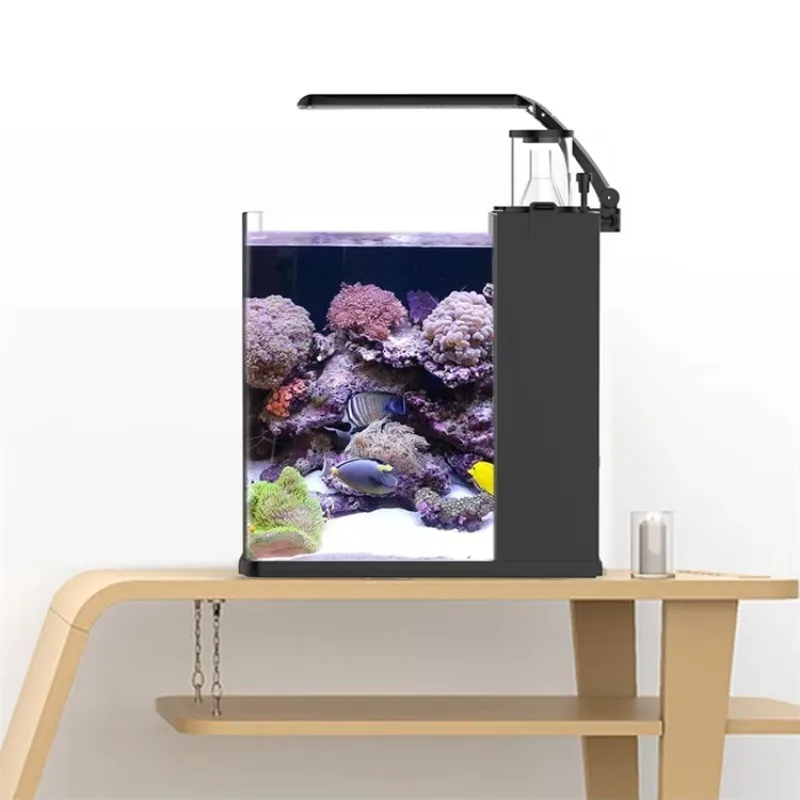 Tangki Ikan Akuarium Laut Air  - Aquarium Marine Clearwater ulasan dan harga