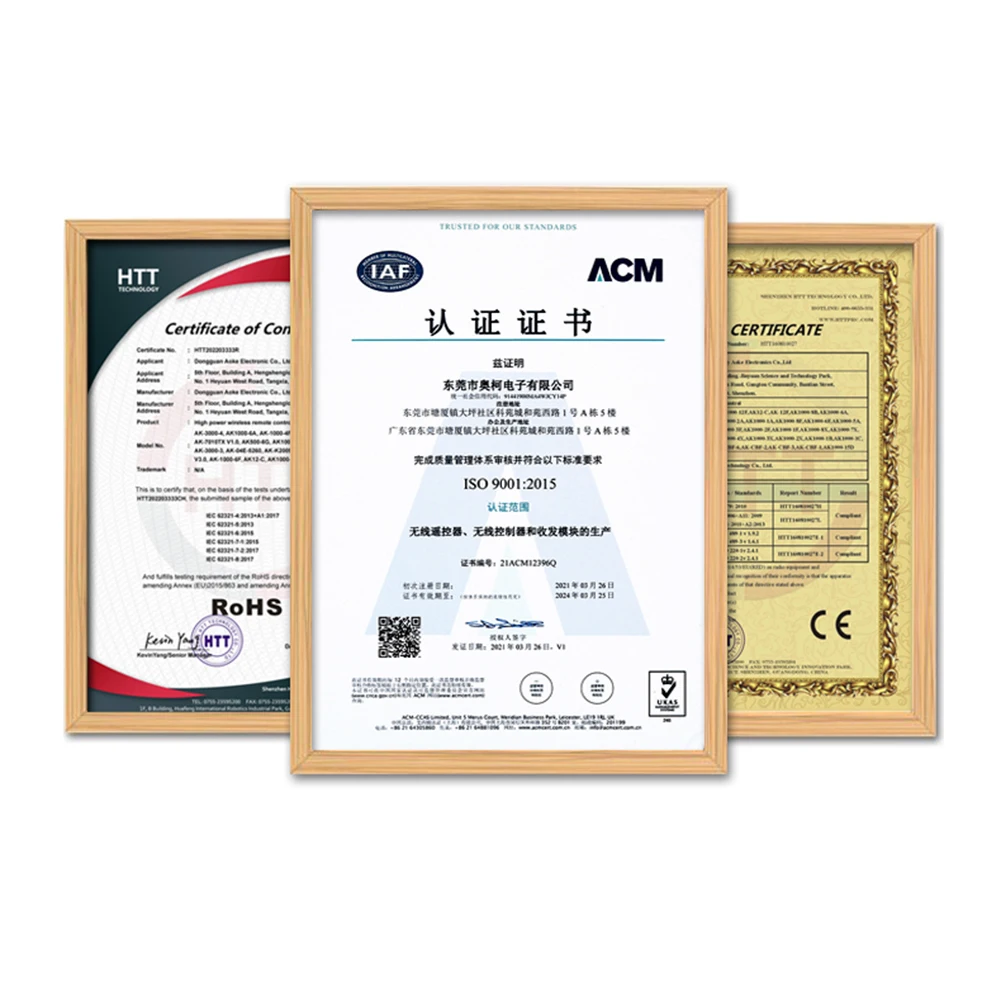 รีโมทคอนโทรลไร้สายอุตสาหกรรม 2/4 ปุ่ม สำหรับควบคุมเครนยกของ กันน้ำ ควบคุมระยะไกล