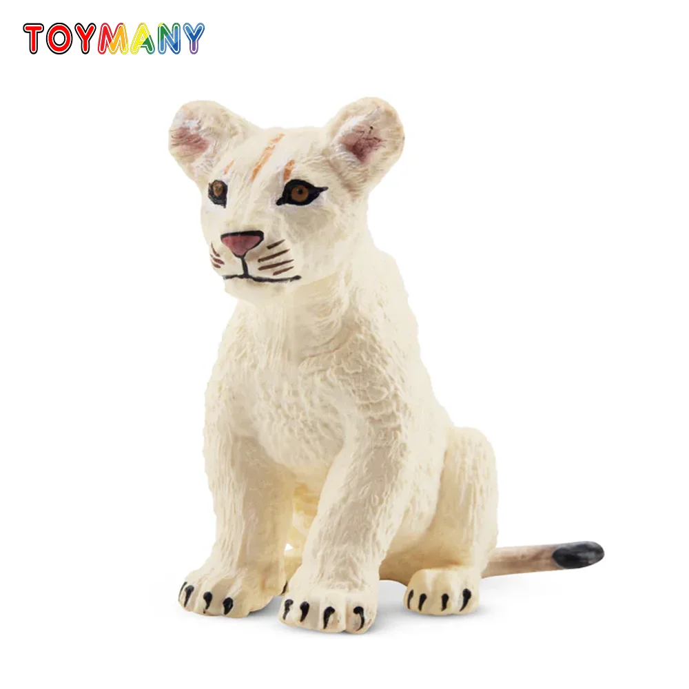 

Toymany Simulation Sitting White Lion Cub Wildlife Animal Model Toy Mini Figures Dolls Action Figurines Toys for Children Gift