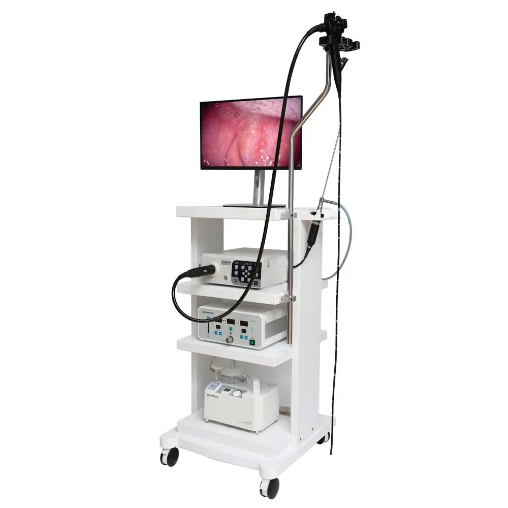 

Medical Video Endoscope Endoscopy Machine Gastroscope Colonoscope Veterinary Endoscope Camera Dog Endoscopy System