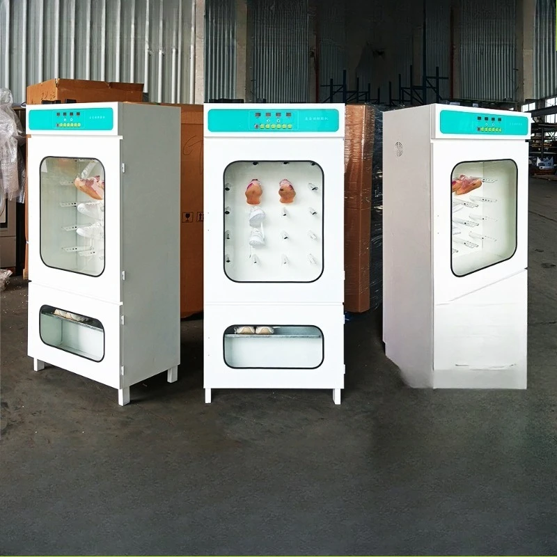 Small dry cleaner, multi-functional disinfection and deodorization shoe dryer, automatic shoe dryer