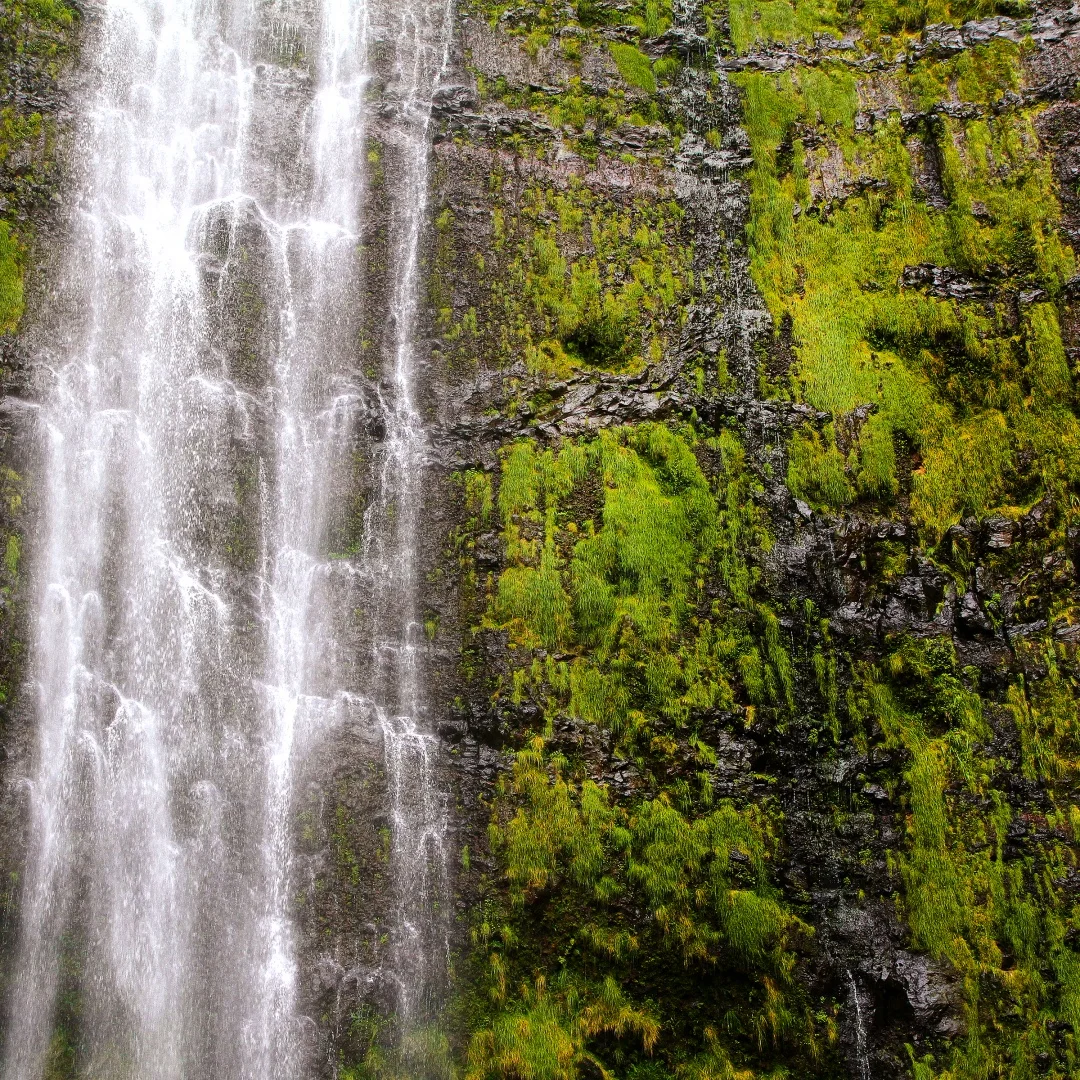 

Для Dodge Challenger 2010-2023 беспроводной Carplay Android автомобильный радиоприемник с сенсорным ЖК-экраном мультимедийный плеер автомобильный GPS Navi DSP головка uni
