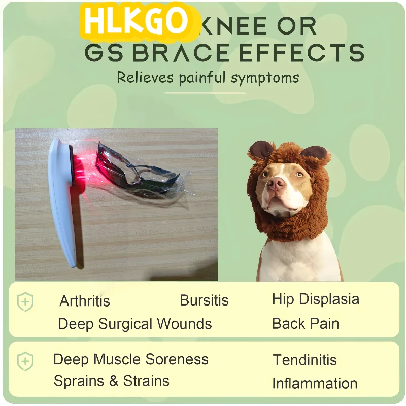 

Medical Grade 880mW Cold Laser Therapy 808nm 650nm Professional Device for Chronic Pain Relief & Physiotherapy