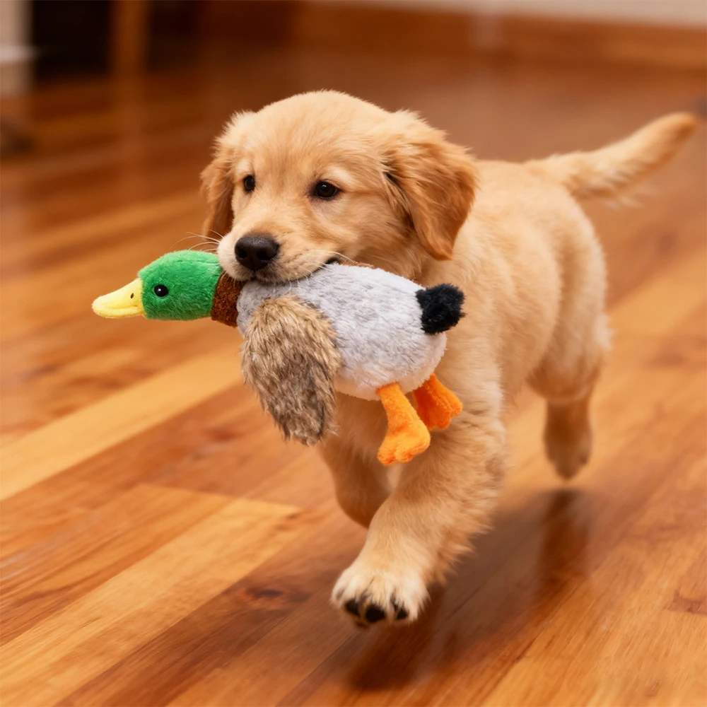 Niedliche Plüsch-Entenhunde, Quietschspielzeug, lustiges Haustier-Spiel, interaktives Kauspielzeug für kleine und mittelgroße Hunde, Haustierbedarf, Zubehör