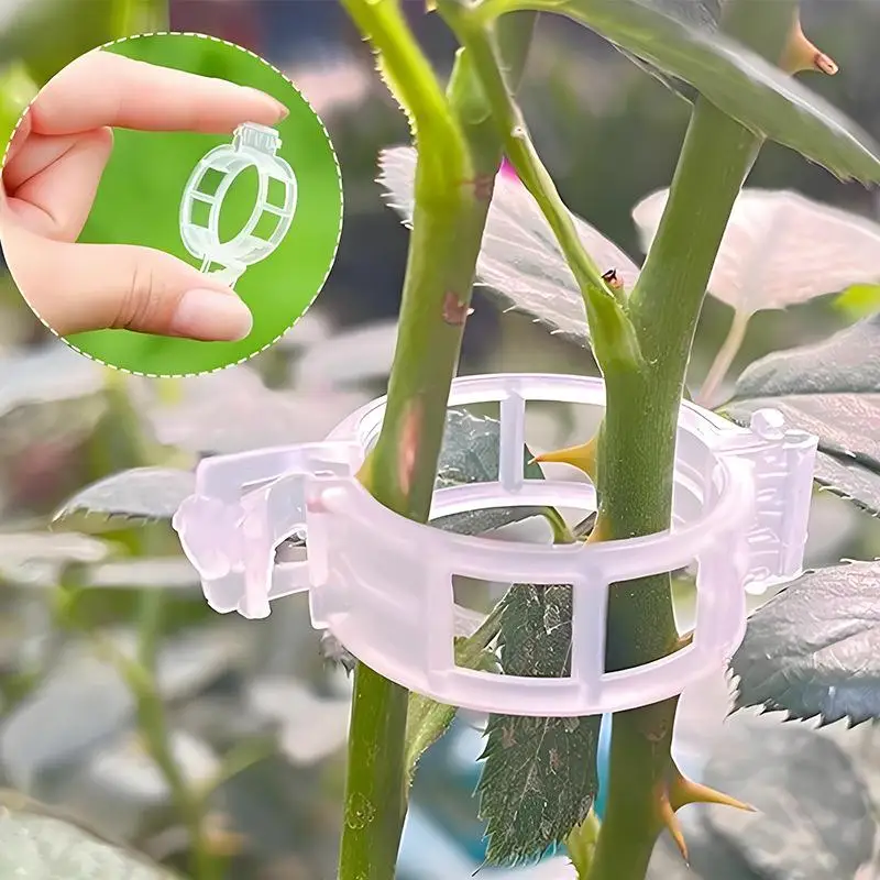 100Pcs Plant Support Clips Snap On Reusable Gardening Vine Bracket Weatherproof Tool For Vegetable Climbing Plant Fixing Use