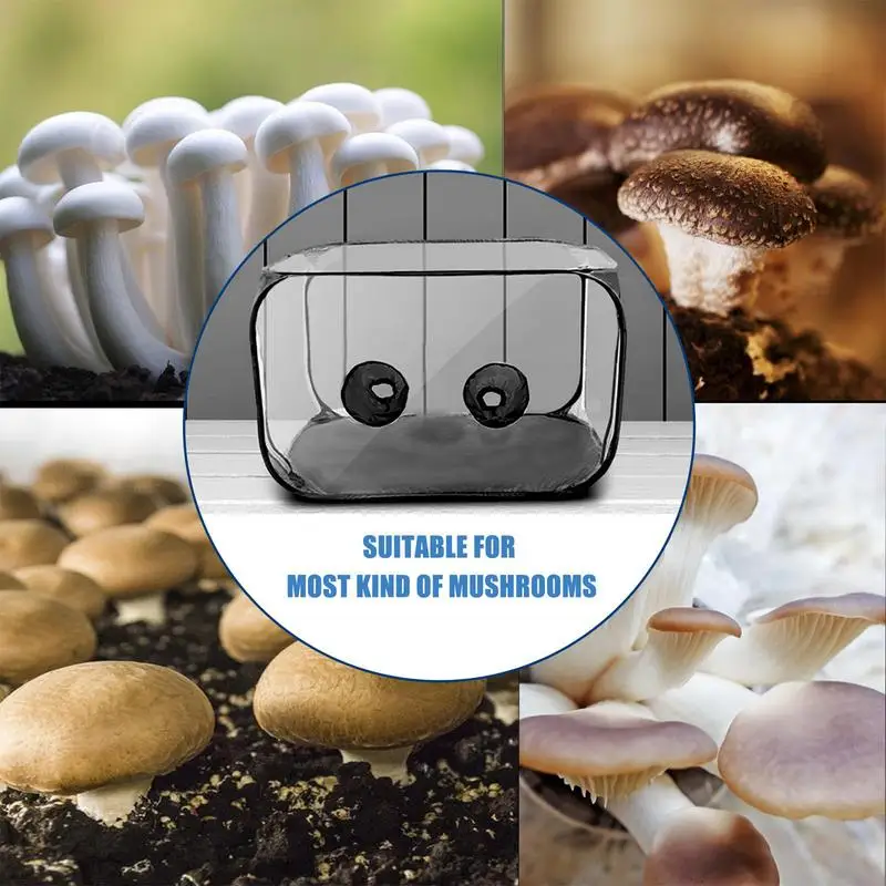 Planting Bag Mushroom Still Air Box For Mushroom Tent Propagation Stations Mushroom Grow Bags Horticulture Supplies For Garden