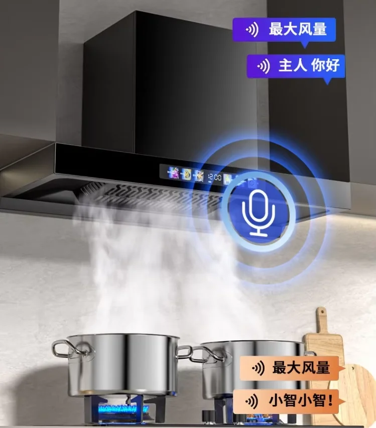 220V Rongsida Powerful Range Hood Kitchen New European Top Suction Small Exhaust Fan I