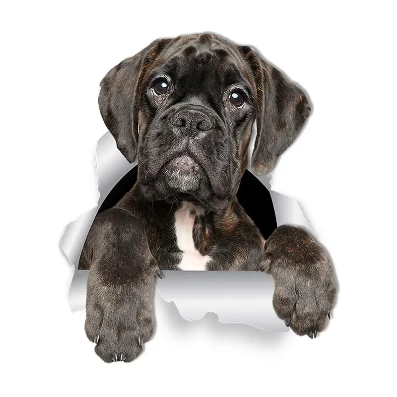 M463 Wurst Hund Rottweiler Hund Yorkshire Terrier Hund PVC Haushalt Dekoration Wand Aufkleber Toilette Aufkleber – Detail 14