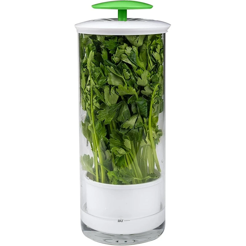 Vegetable Herb Preservator Herb Coriander Fresh-Keeping Box Breathable Herb Storage Container