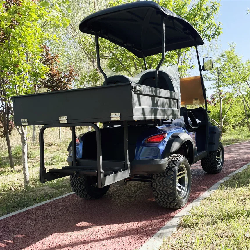 Manufacturer Affordable Sale Electric Car Street Legal Golf Cart/Mobility Scooter 5000W High Speed Electric Kart