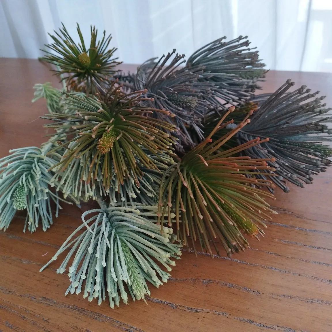 6pcs Green Artificial Pine Branch Christmas Tree Plastic Simulation Pine Needle Home Decor Party Supplies Lifelike Greeney Plant