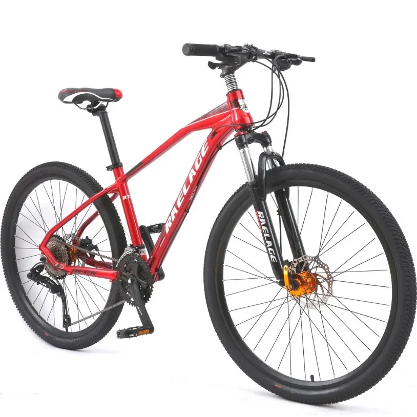 New Ebike 29