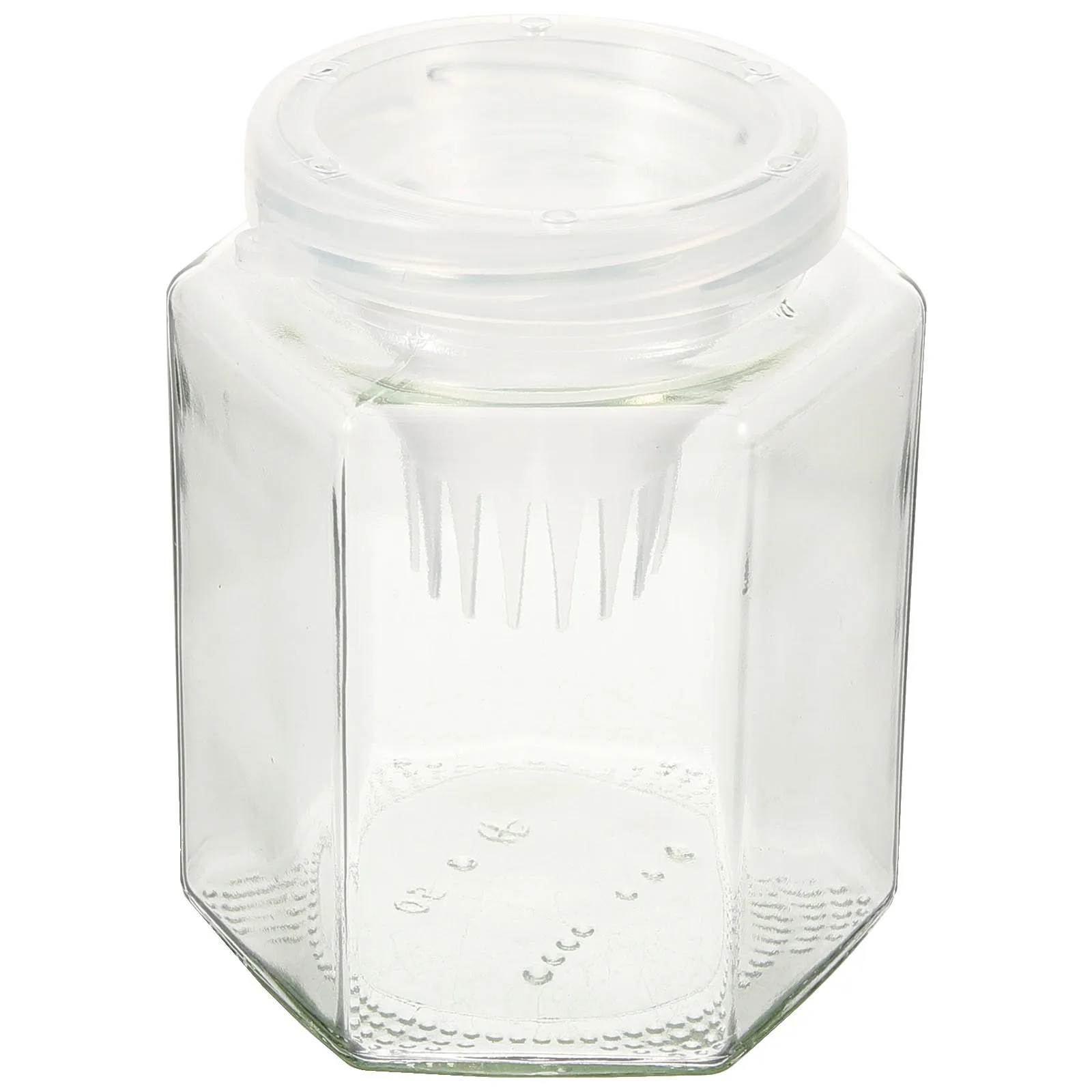 

Thickened Glass Bottle for Fish Winter Camping Hiking Sturdy Shrimp Container Ergonomic Handle Outdoor Water Intake