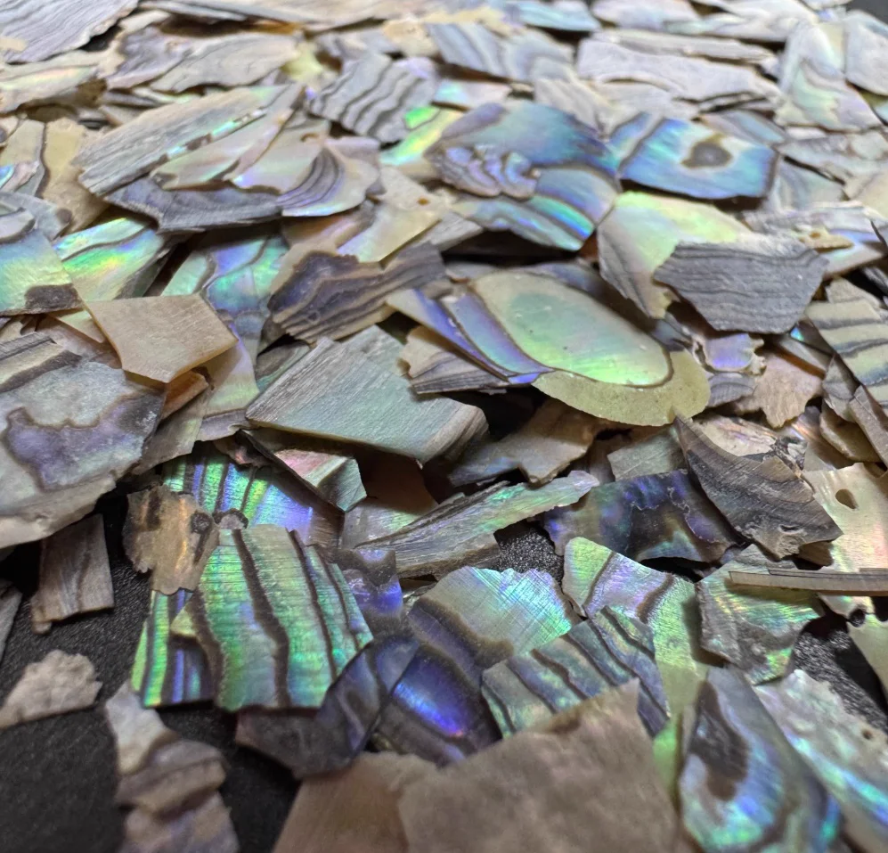 New Zealand abalone shell pieces, mother of pearl pieces, crushed materials, jewelry, furniture, lacquer painting materials, DIY