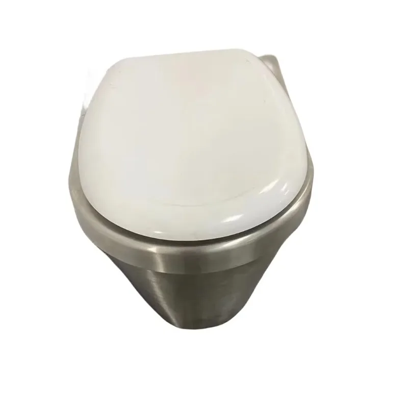 American Style Intelligent Automatic Electric Toilet Elegant Custom Color Bathroom Mobile Toilets