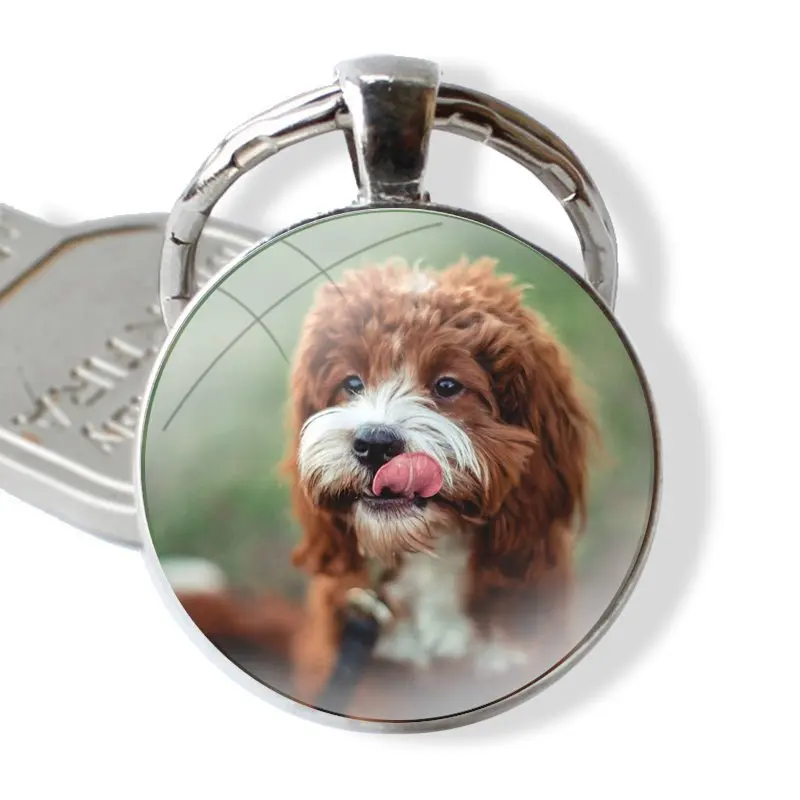 Keychain Handmade Glass Cabochon Key Ring Holder Pendant Key Chains Poodle dog Fashion Design Creative Cartoon